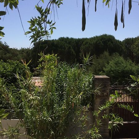 Maison D'Elie Saint-Tropez Buitenkant foto