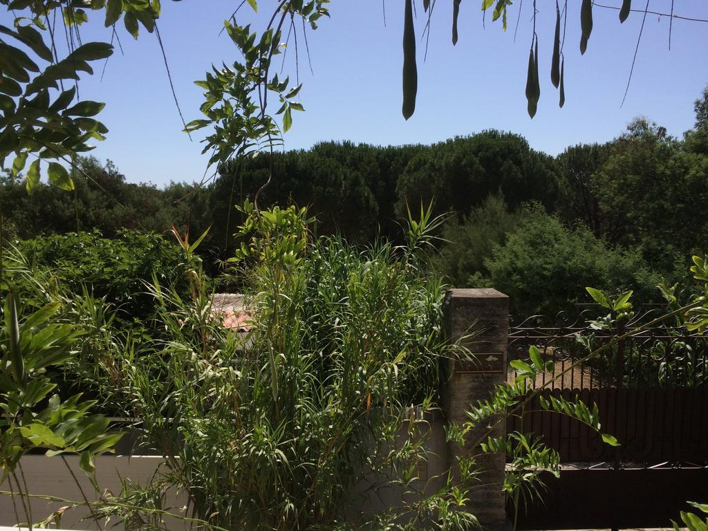 Maison D'Elie Saint-Tropez Buitenkant foto
